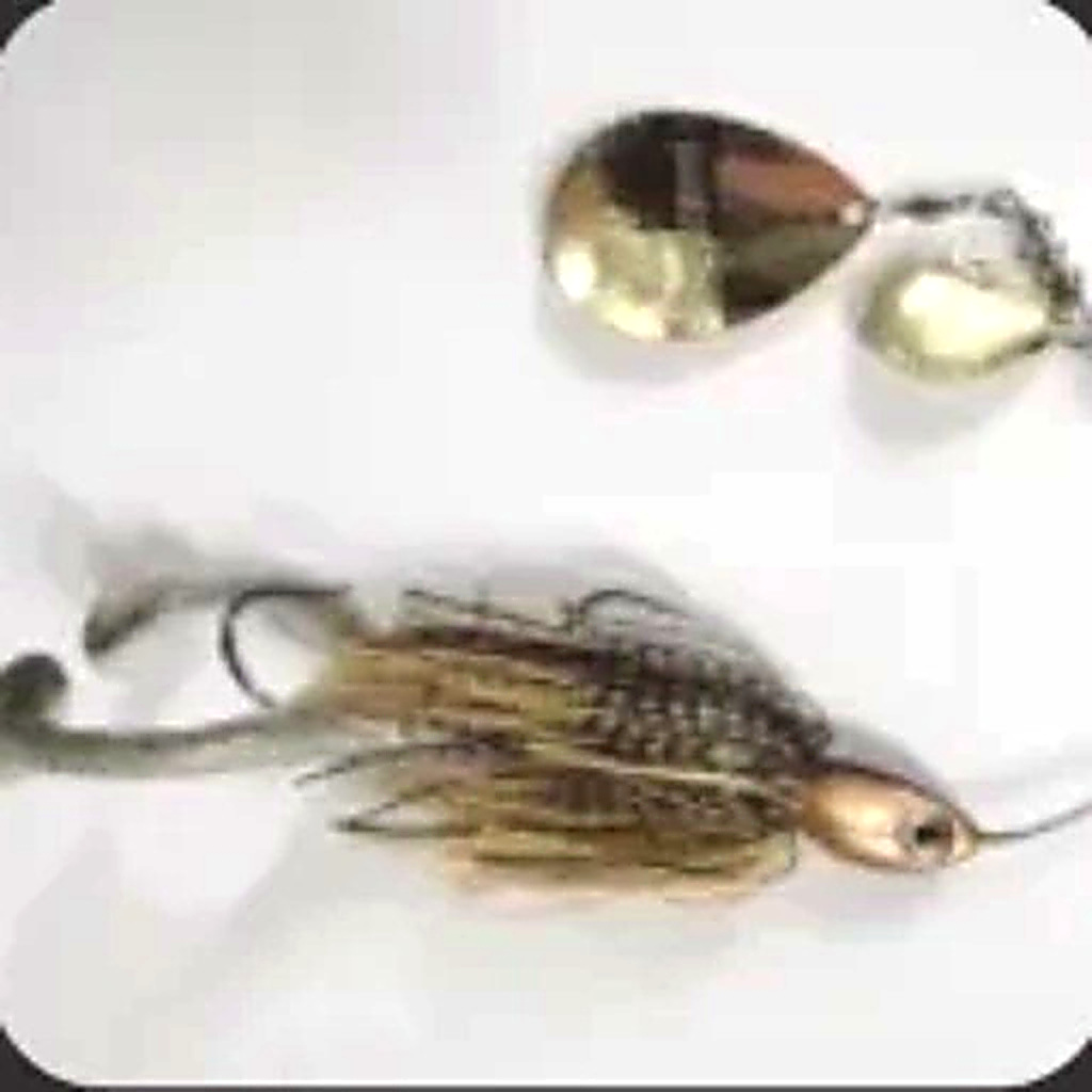 Mother Frogger Gold/ Black