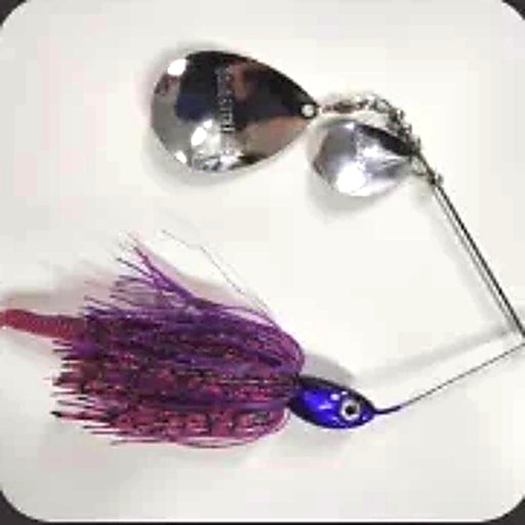 Bidgee Bait Purple/ Black with Nickel