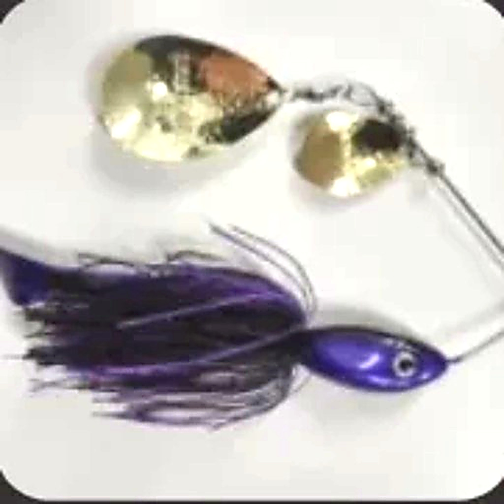 Dam Buster Purple/ Black