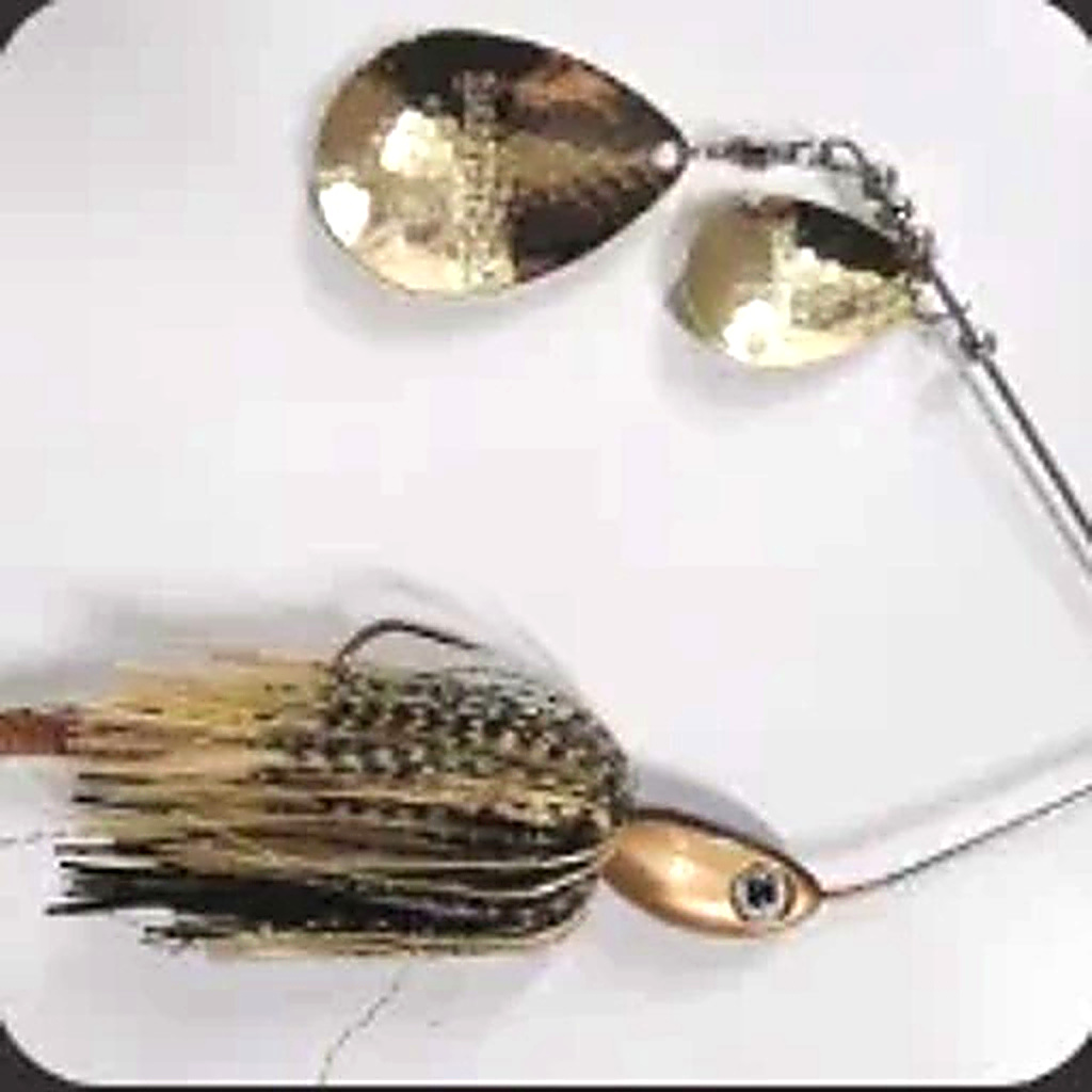 Bidgee Bait Black/ Gold with Brass