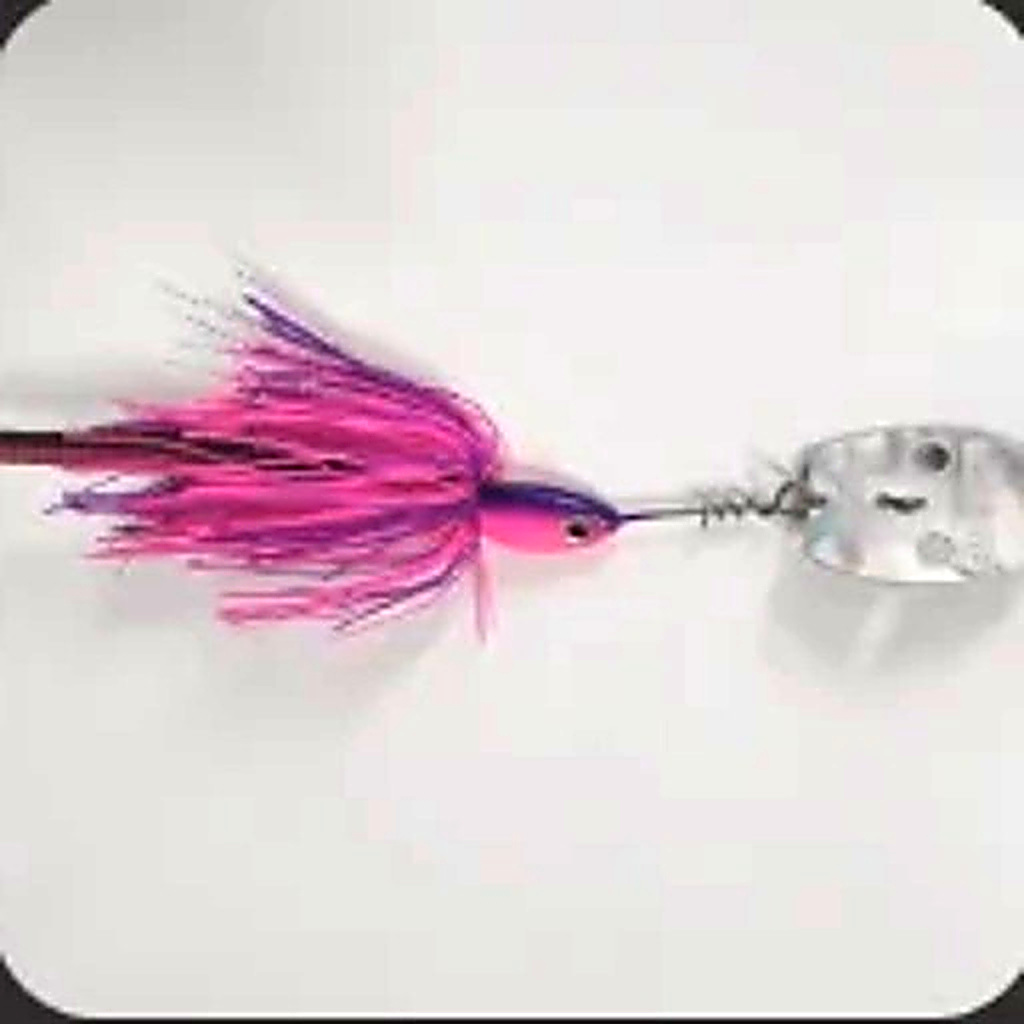 Bidgee Bomb Pink/ Purple
