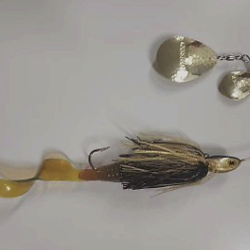 Outcast Black/ Gold