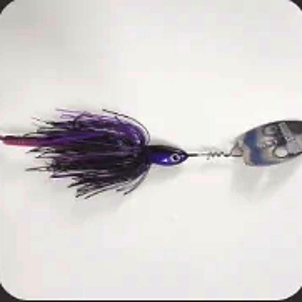 Bidgee Bomb Purple/ Black